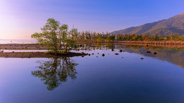 Free Sunset Beach photo and picture