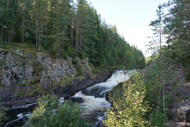 Free Karelia Petrozavodsk photo and picture