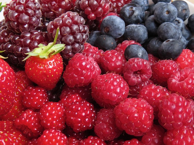 Free Berries Blueberries photo and picture