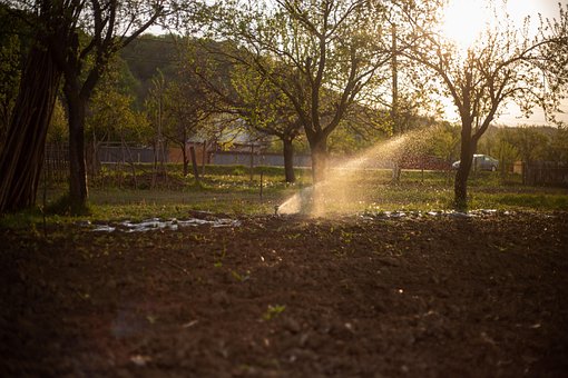 Free Water Garden photo and picture