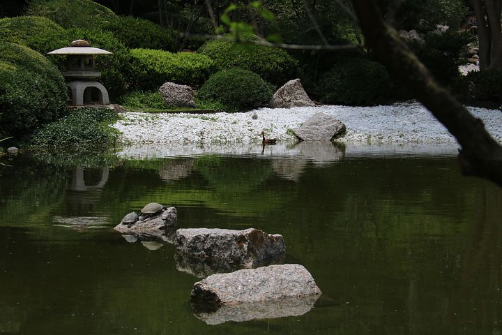 100+ Free Japanese Stone & Japanese Garden Photos - Pixabay