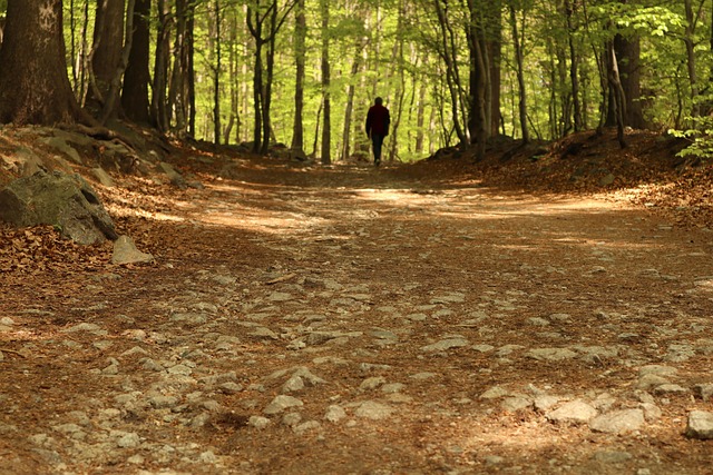 Sentier Tourisme Montagnes Le - Photo gratuite sur Pixabay - Pixabay