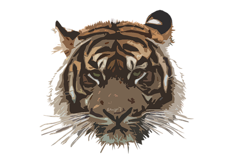 Tegneserie, Dyr, Væsen, Tiger, Kat