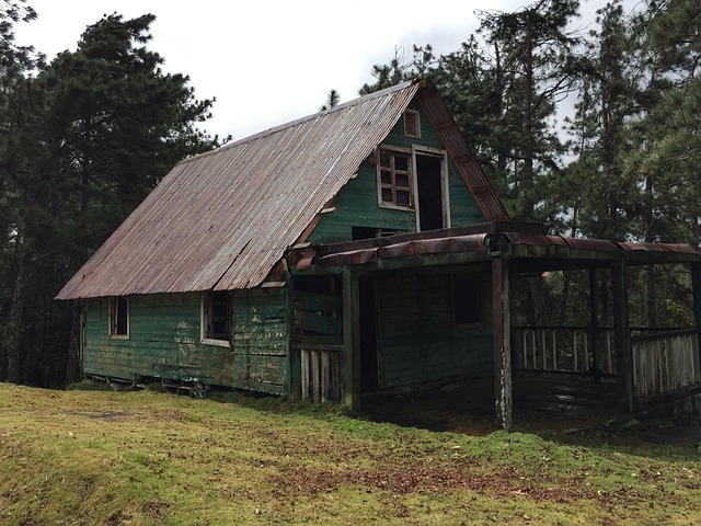 Hjemsøgt Hus, Heks, Rædsel, Årgang, Hjem