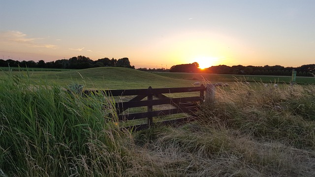 Free Sunset Orange photo and picture