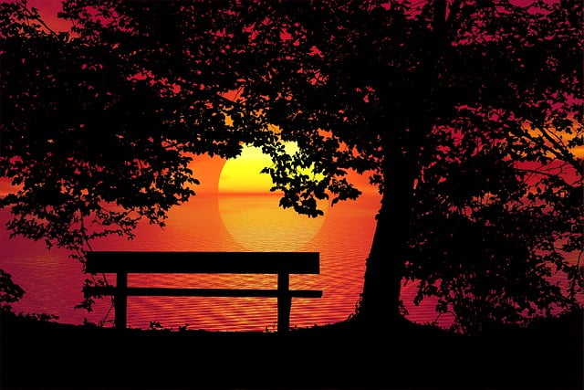 Free sunset bench trees illustration