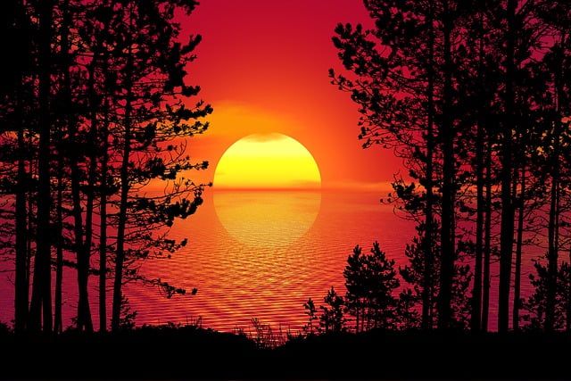 Free sunset nature trees illustration