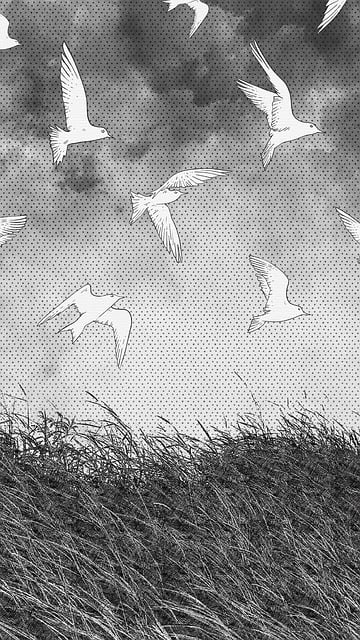 Free imagination creativity illustrator illustration