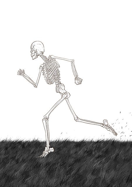 Free imagination creativity illustrator illustration