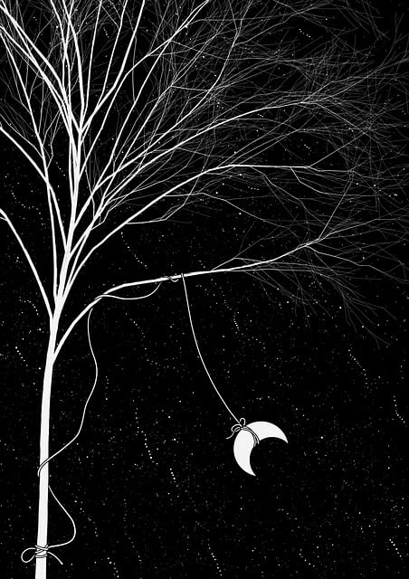 Free imagination creativity illustrator illustration