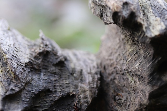 Free Wood Sculpture photo and picture