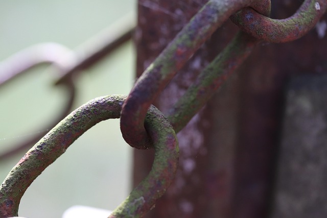 Free Chain Secured photo and picture