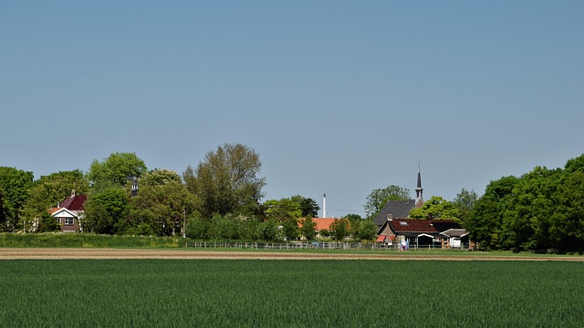 Free Tinte Polder photo and picture
