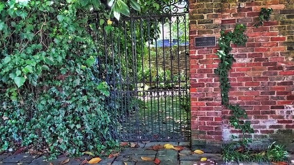 Free Backdrop Ivy photo and picture