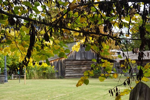 Free Scenic Rustic Setting photo and picture
