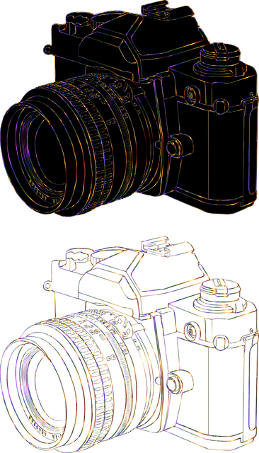 Free camera photography nature vector