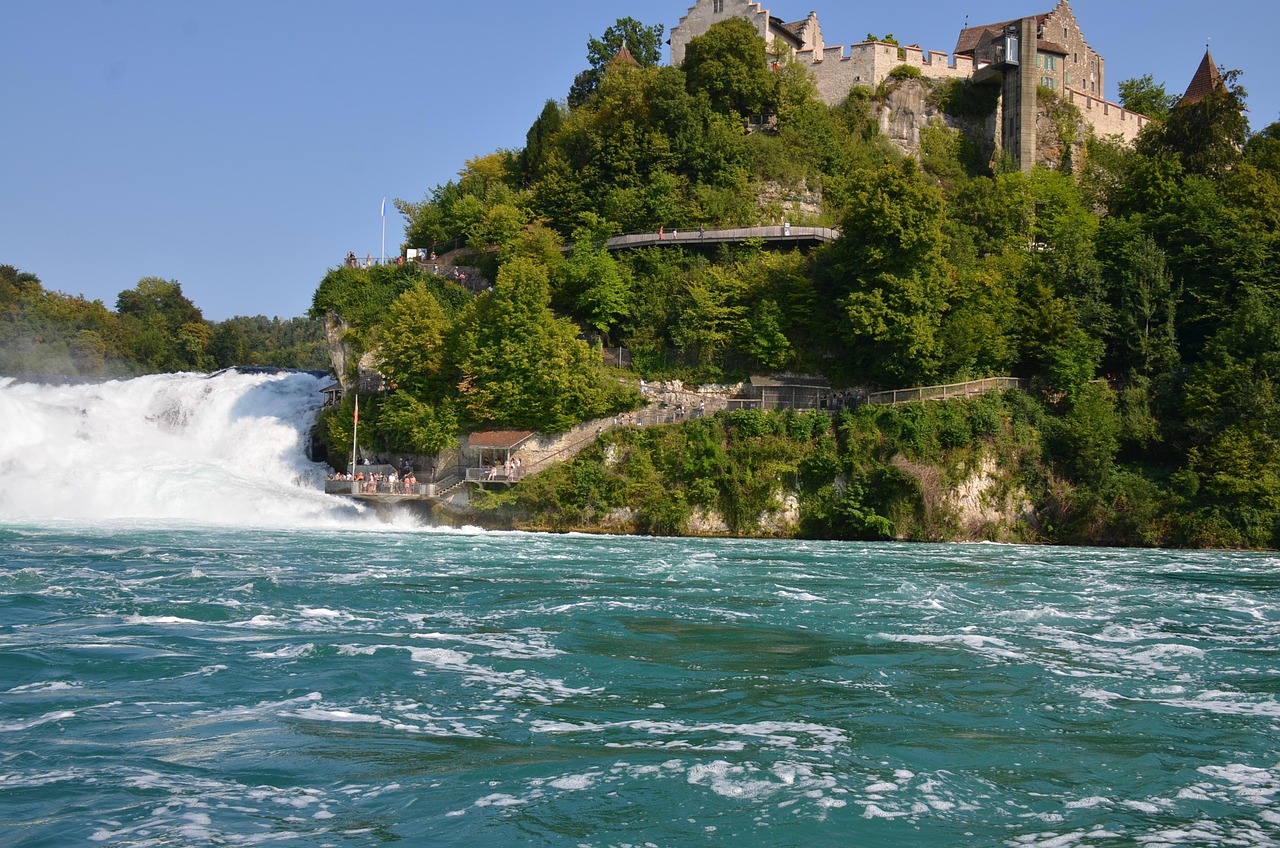 Foto Rhin Rhin Destination L'Eau - Photo gratuite sur Pixabay - Pixabay