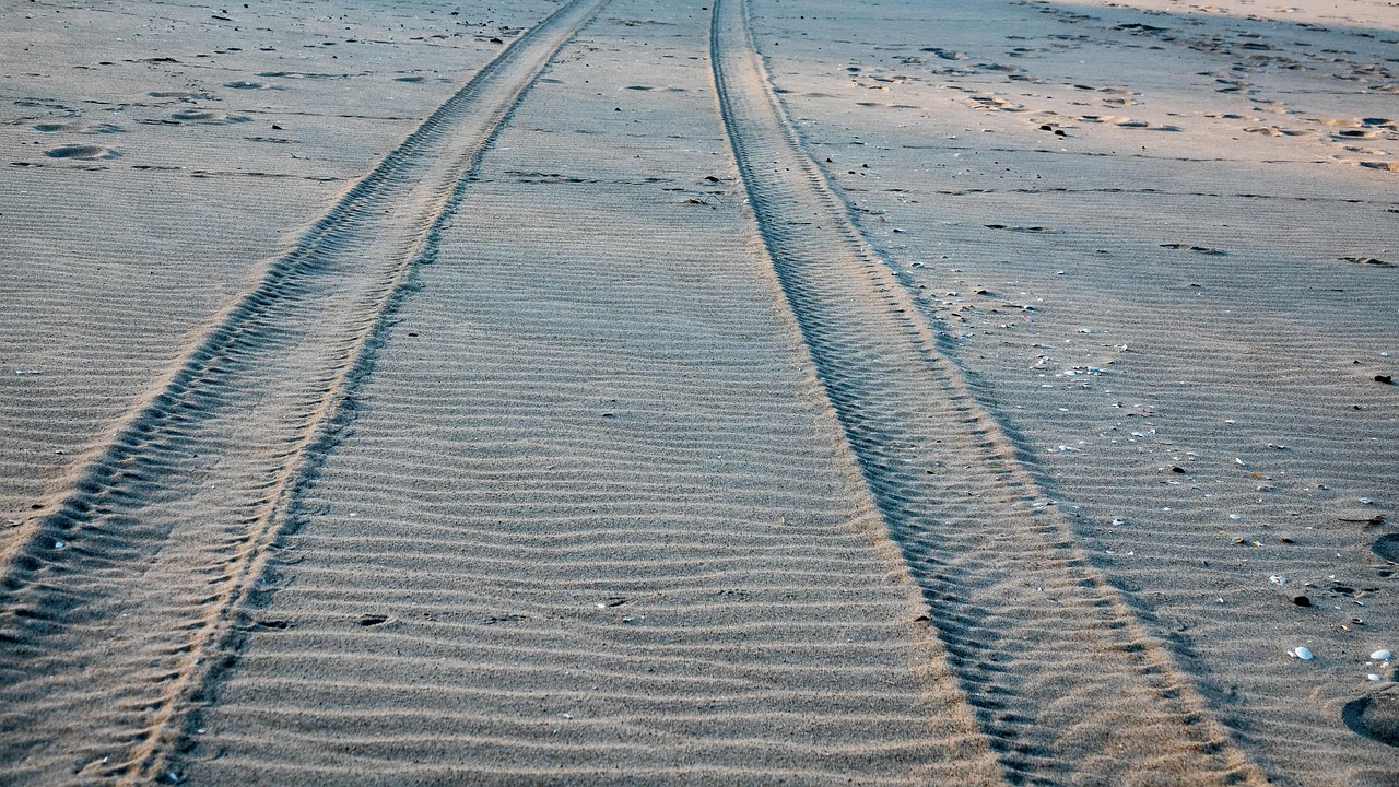 Beach - free online jigsaw puzzle photo