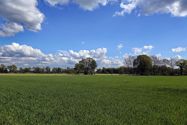 Free Clouds Northern Germany photo and picture
