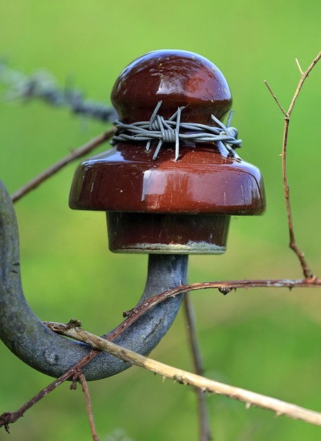 Free Barbed Wire Isolation photo and picture