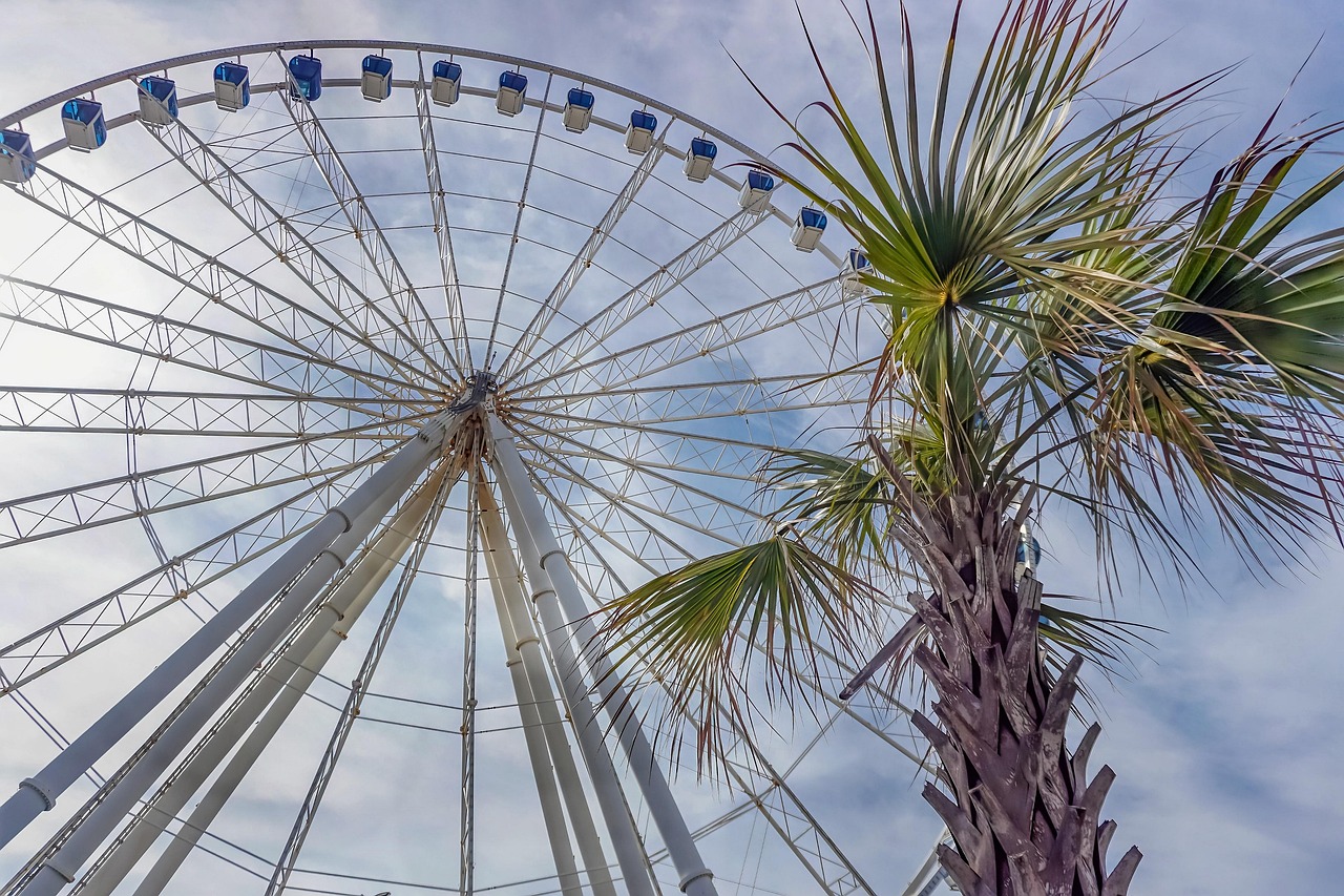 Wheel - free online jigsaw puzzle photo