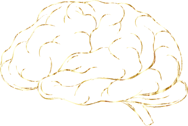 Download free HD stock image of Brain Think Free brain think psychology vector