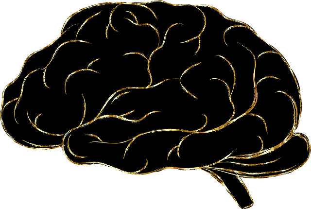 Free brain think psychology vector
