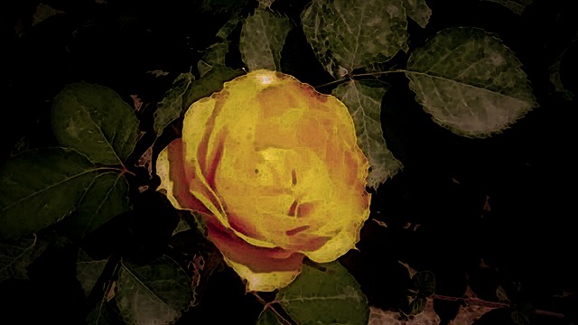 Free Nature Flower photo and picture