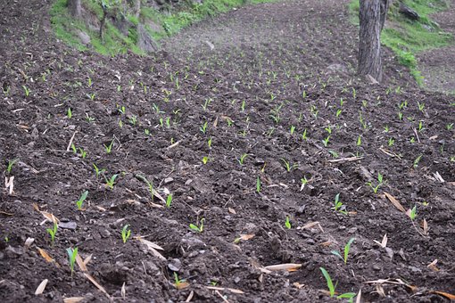 Free Farming Soil Soil photo and picture