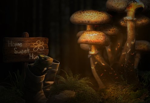 Free Mushrooms Chameleon illustration and picture