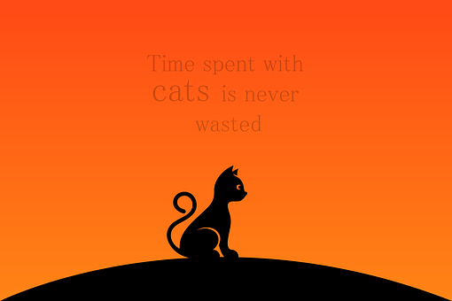 Free Cat Cat Lover vector and picture