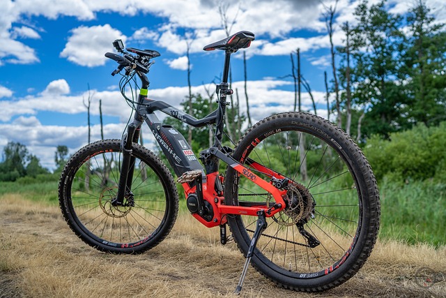 Haibike, Ebike, Rua, Natureza, Panorama
