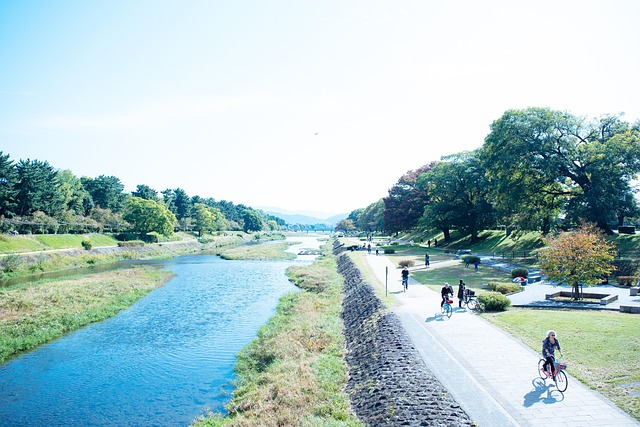 Free River Bicycle photo and picture