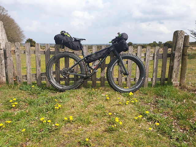 Bikepacking, Biciclete De Munte, Fatbike