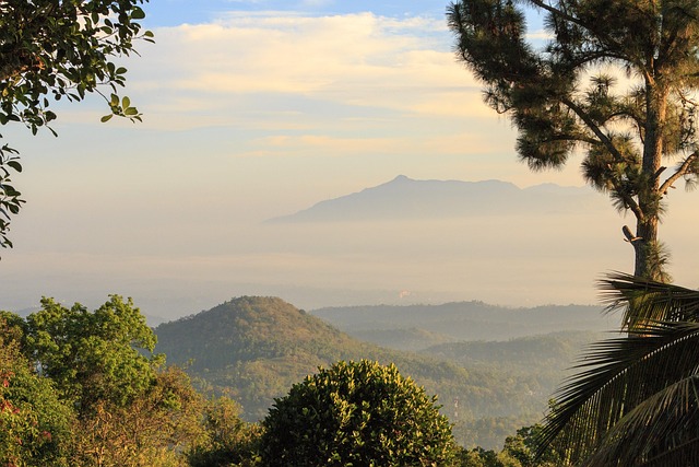 Ansicht, Natur, Berg, Sri Lanka