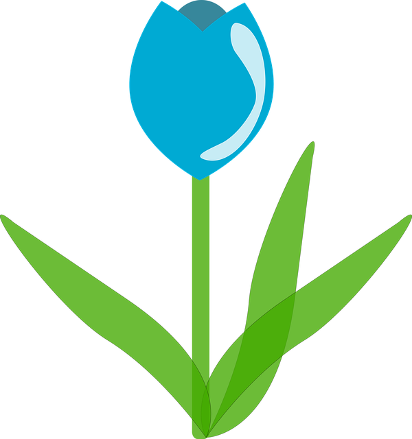 Free tulip flower blue illustration