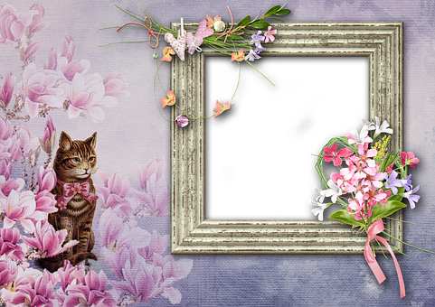 Free Cat Flower illustration and picture
