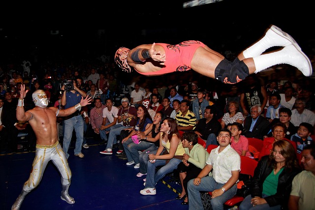 Free Fight Free photo and picture