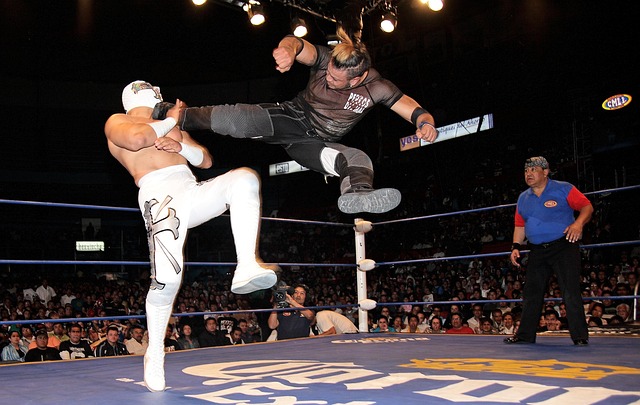 Free Wrestling Arena Mexico photo and picture