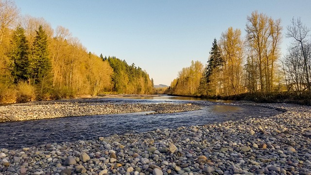 Free River Carbon River photo and picture