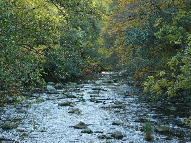 Free Riverbed Boulders photo and picture