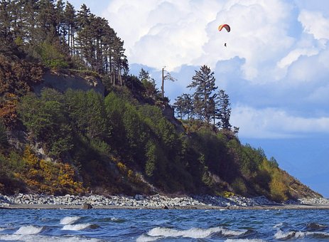 Ganso De Escupir, Comox, Montaña, Mar
