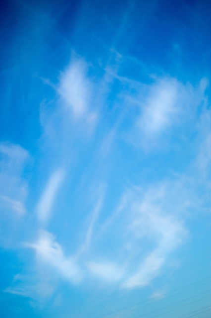 Free Sky Smile photo and picture
