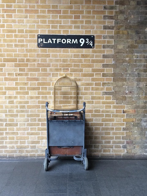 Harry Potter Bahnsteig Gleis 9 3/Tapis anti saleté à 4 portes Mat