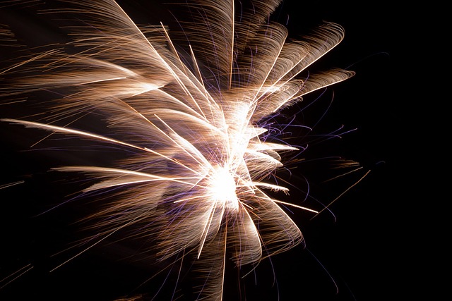 Free Fireworks Sky photo and picture