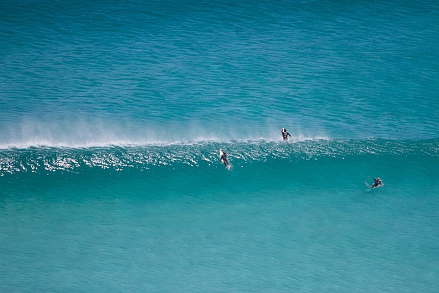 Free Surfers Sea photo and picture