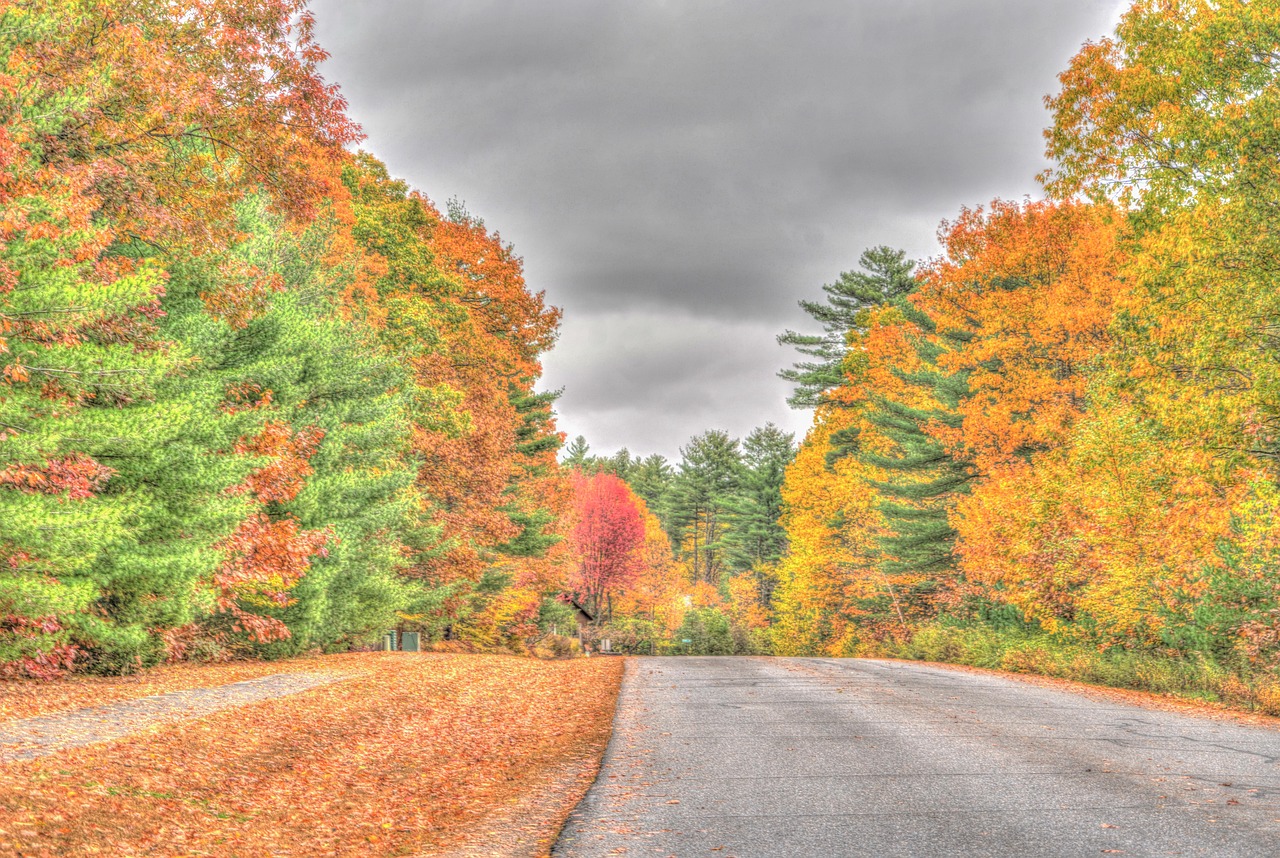 Vermont Fall Autumn Free Photo On Pixabay Pixabay