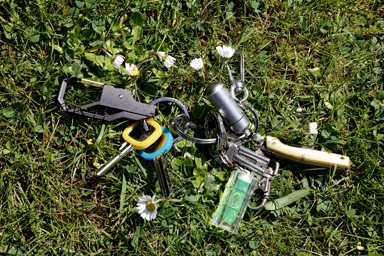 Keys Lost Dropped Free photo on Pixabay Pixabay