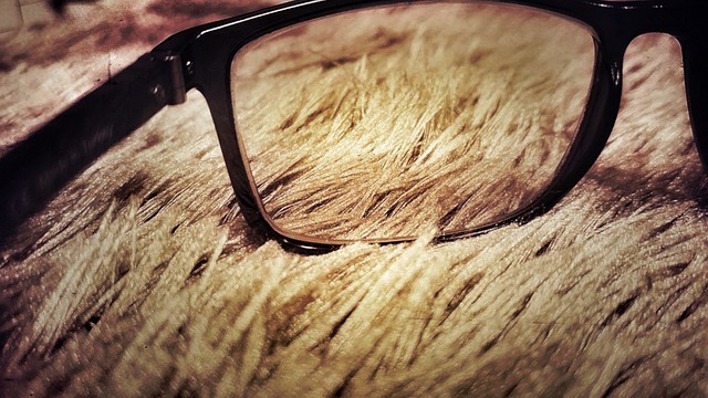 Free Vision Eyeglasses photo and picture