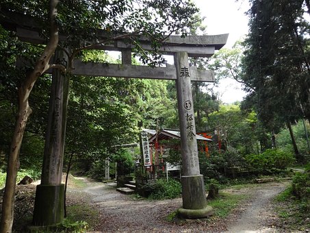 Free Fushimi Inari photo and picture